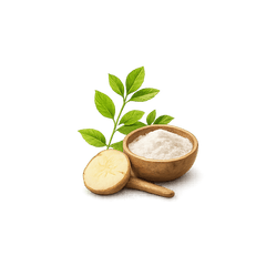 Digestive Support Complex