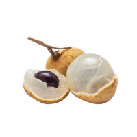 Arillus Longan (Longan Fruit)