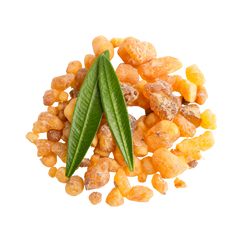 Boswellia Carterii Birdw (Frankincense)