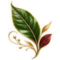  Leaf  