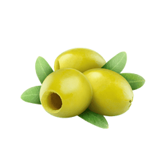 Chinese White Olive