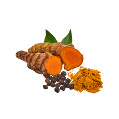 Curcumae Rhizoma (Turmeric Root)