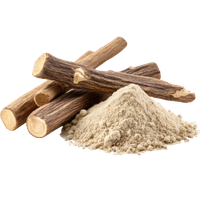 Radix et Rhizoma Glycyrrhizae (Licorice Root)