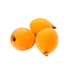 Folium Eriobotryae (Loquat Leaf)