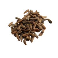 Fructus Arctii (Burdock Fruit)