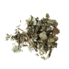 Herba Ephedrae