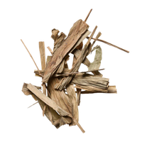 Herba Lophatheri (Lophatherum Herb)