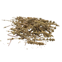 Herba Schizonepetae (Schizonepeta Herb)