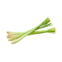 Citronella Oil