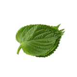 Perilla