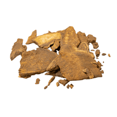 Radix Et Rhizoma Asteris