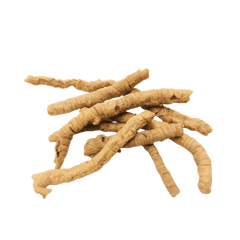 Radix Polygalae