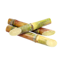 Cane Sugar