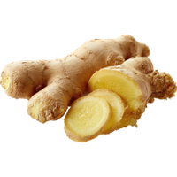 Zingiber Officinale Rosc (Ginger Root)