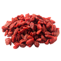 Fructus Lycii (Goji Berries)