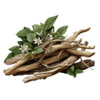Licorice Root