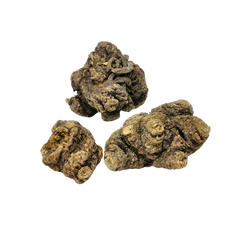 Ligusticum Chuanxiong Hort (Szechuan Lovage Root)