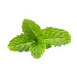 Menthol