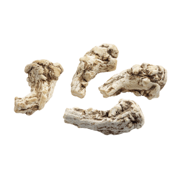 Radix Angelicae Sinensis (Dang Gui)