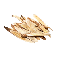 Radix Astragali (Astragalus Root)