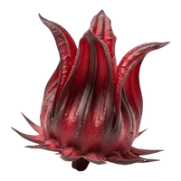 Roselle