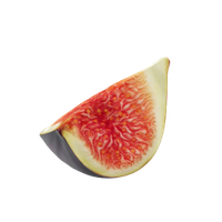 Fructus Fici (Wu Hua Guo)